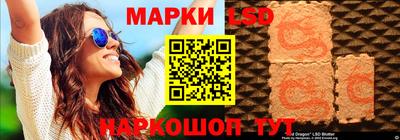 стаф Можга