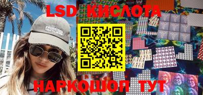 стаф Можга