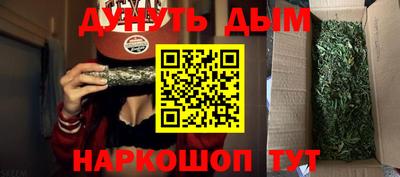 стаф Можга