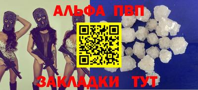 стаф Можга