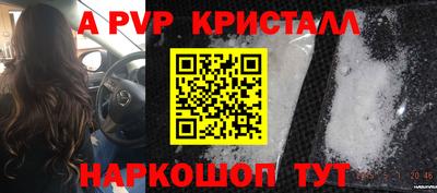 СК Моздок