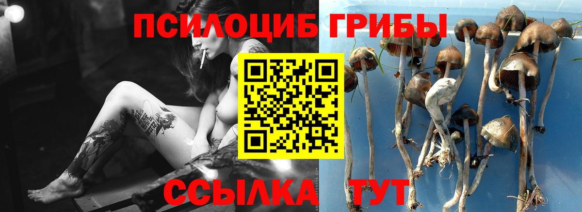 Галлюциногенные грибы GOLDEN TEACHER Черногорск