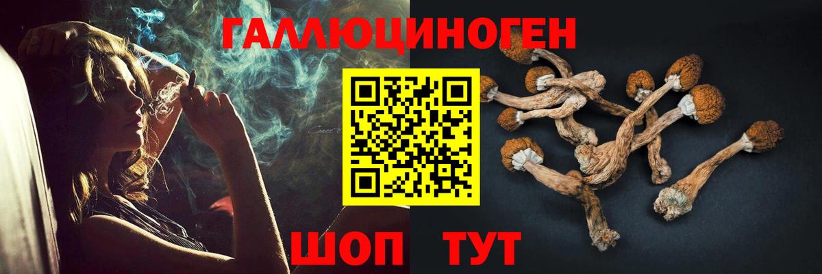 Галлюциногенные грибы ЛСД  Псилоцибиновые грибы мицелий  Вход с VPN  Черногорск 